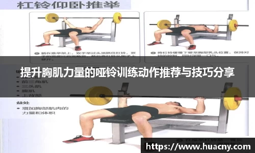提升胸肌力量的哑铃训练动作推荐与技巧分享